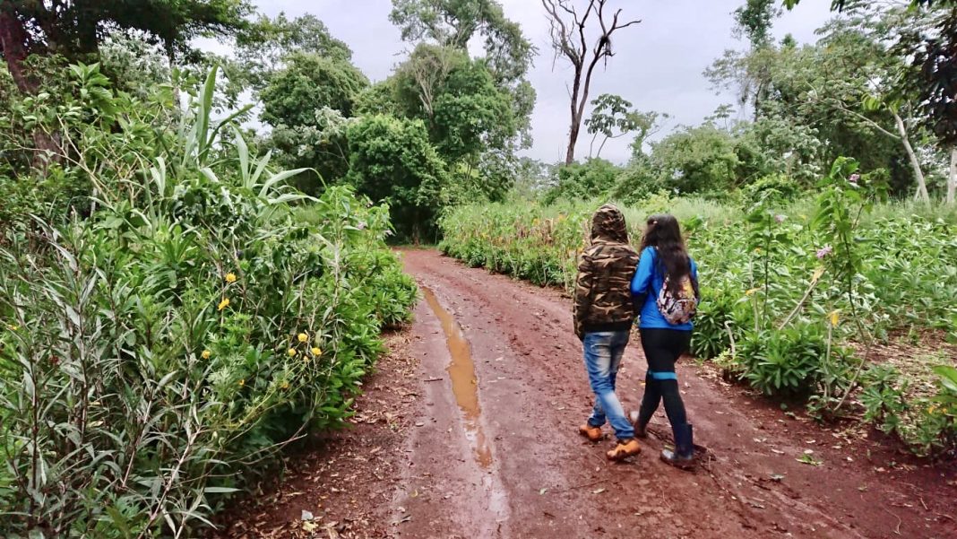 Aldea Mbya Guaran Revista Un Camino