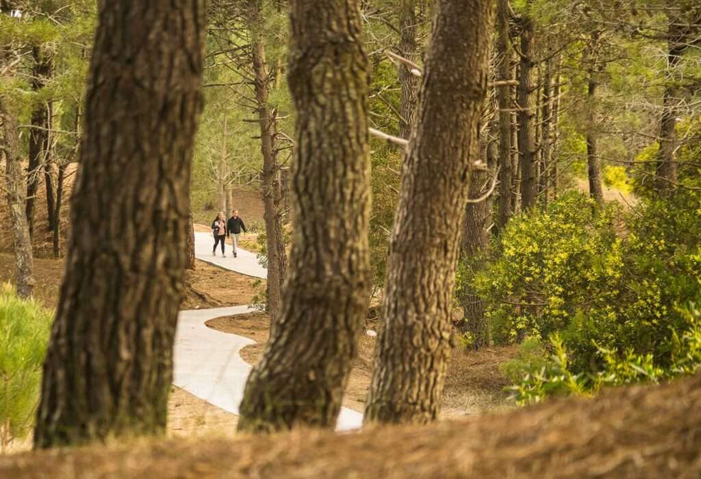 Qu Hacer En Pinamar Durante El Verano Revista Un Camino