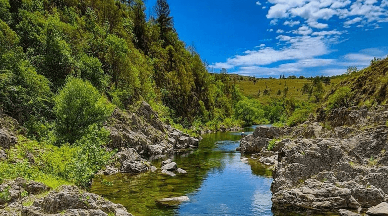 El bosque de Bariloche que parece salido de un cuento mágico