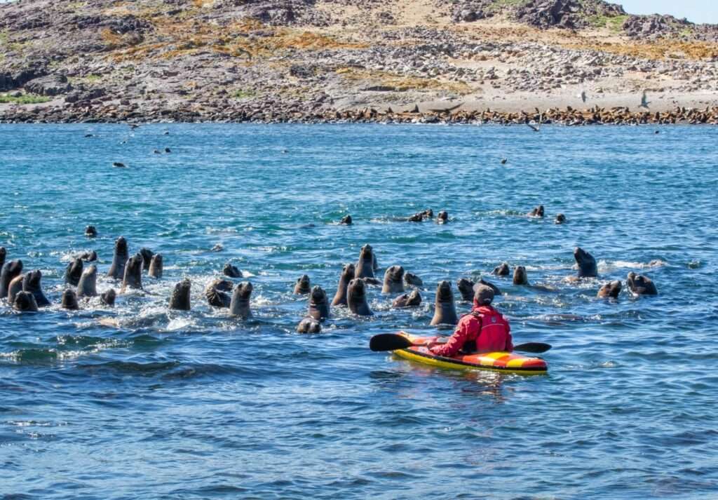 Los Mejores Destinos De La Patagonia Para Visitar Este Verano - Rutas ...