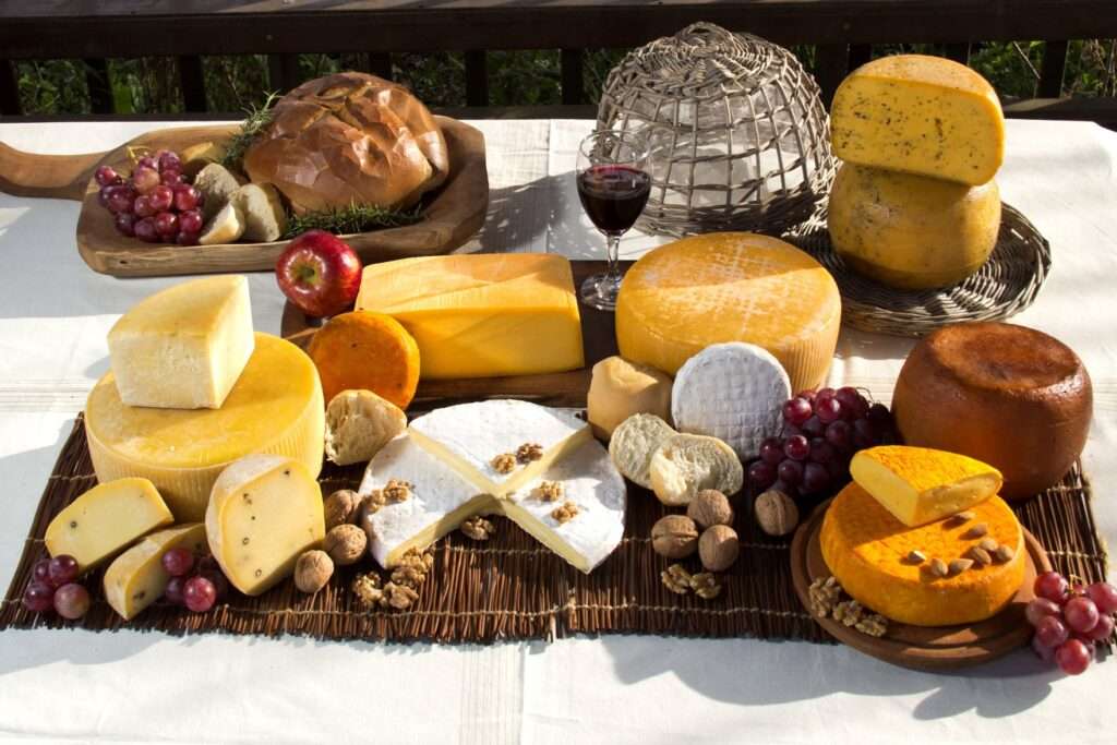Así es la Ruta del Queso en Suipacha - Revista Un Camino