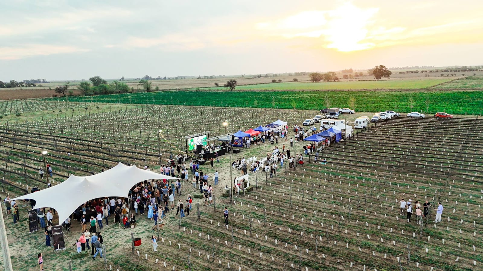 Primavera entre vides: el encanto de los vinos pampeanos se celebró en Trenel